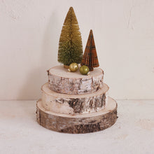 Load image into Gallery viewer, Birch Wood Slice