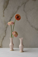 Load image into Gallery viewer, Chasing Rainbows Budvase - Indie Indie Bang! Bang!