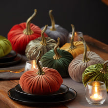 Load image into Gallery viewer, Small Velvet Pumpkins - Indie Indie Bang! Bang!