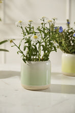 Load image into Gallery viewer, Skyway Flower Pot - Green - Indie Indie Bang! Bang!
