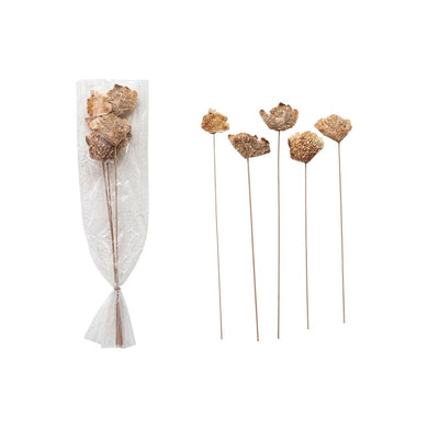 Dried Natural Mushroom Bunch - Indie Indie Bang! Bang!