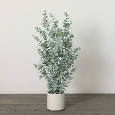 Large Potted Eucalyptus Tree - Indie Indie Bang! Bang!