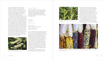 Load image into Gallery viewer, Iwígara: American Indian Ethnobotanical Traditions and Science