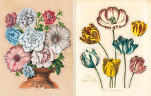 Load image into Gallery viewer, John Derian Sticker Book - Indie Indie Bang! Bang!