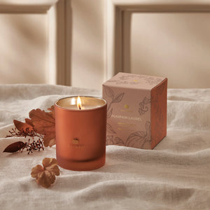 Pumpkin Laurel Boxed Candle - Indie Indie Bang! Bang!