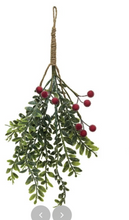 Load image into Gallery viewer, Faux Berry Steams - Indie Indie Bang! Bang!