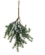 Load image into Gallery viewer, Faux Berry Steams - Indie Indie Bang! Bang!