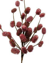 Load image into Gallery viewer, Natural Dried Thistle - Indie Indie Bang! Bang!