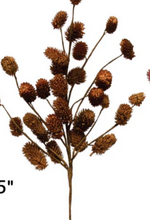 Load image into Gallery viewer, Natural Dried Thistle - Indie Indie Bang! Bang!