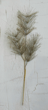 Load image into Gallery viewer, Faux Glitter Pine - Champagne - Indie Indie Bang! Bang!