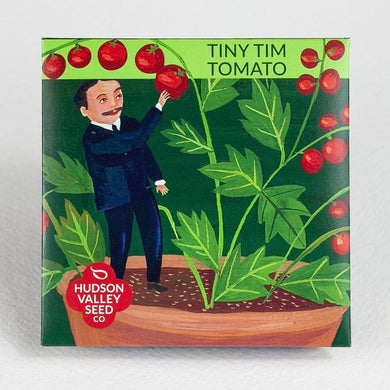 Tiny Tim Tomato Seeds - Indie Indie Bang! Bang!