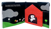 Load image into Gallery viewer, Baby Basics: Animals At Home - Indie Indie Bang! Bang!