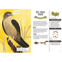 Load image into Gallery viewer, Kid's Guide to Backyard Birds - Indie Indie Bang! Bang!