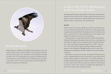 Load image into Gallery viewer, Birds of the Great Lakes