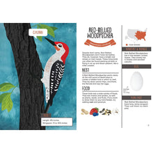 Load image into Gallery viewer, Kid's Guide to Backyard Birds - Indie Indie Bang! Bang!