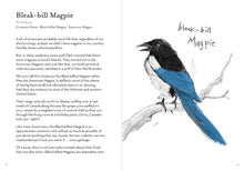 Load image into Gallery viewer, Dumb Birds Field Guide to the Worst Birds Ever A Dumb Birds Field Guide