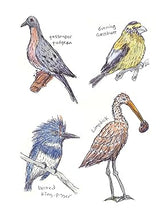 Load image into Gallery viewer, The Field Guide to Dumb Birds Sticker Book: 100+ Stickers of the Dumbest Birds
