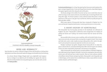 Load image into Gallery viewer, Jane Austen&#39;s Garden: A Botanical Tour of The Classic Novels