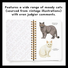 Load image into Gallery viewer, Moody Cats Sticker Book - Indie Indie Bang! Bang!