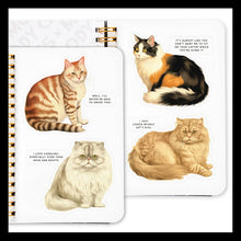 Load image into Gallery viewer, Moody Cats Sticker Book - Indie Indie Bang! Bang!