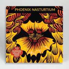 Phoenix Nasturtium Seeds - Indie Indie Bang! Bang!