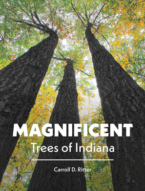 Magnificent Trees of Indiana - Indie Indie Bang! Bang!