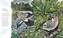 Load image into Gallery viewer, Wilding: How to Bring Wildlife Back - Indie Indie Bang! Bang!