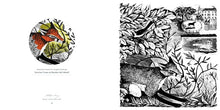 Load image into Gallery viewer, Angela Harding Wildlife Colouring Book