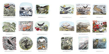 Load image into Gallery viewer, Angela Harding Wildlife Colouring Book