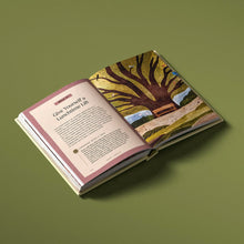 Load image into Gallery viewer, The Wisdom of Walking in Nature: 50 Mindful &amp; Therapeutic Ways to Enjoy any Walk - Indie Indie Bang! Bang!