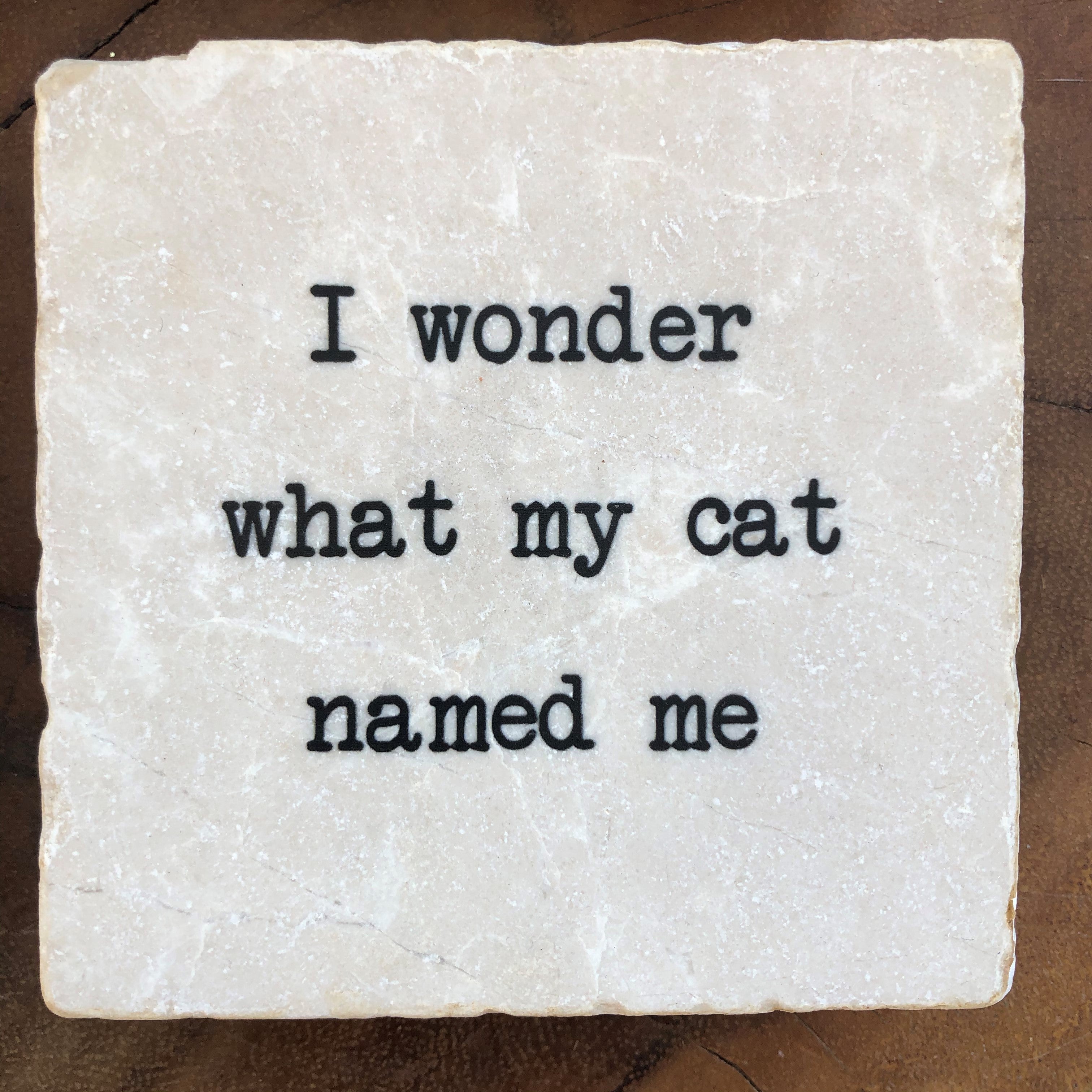 Cat Named Me Coaster