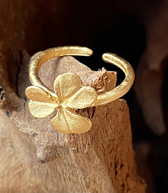 Michael Michaud - Gold Clover Ring - Indie Indie Bang! Bang!