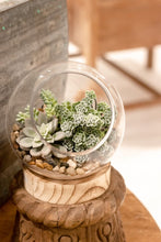 Load image into Gallery viewer, Glass Terrarium with Wood Base - Indie Indie Bang! Bang!