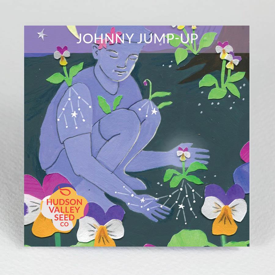 Johnny Jump Up - Indie Indie Bang! Bang!