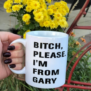 Bitch, Please. I'm From Gary - Indie Indie Bang! Bang!