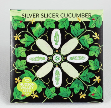 Silver Slicer Cucumber - Indie Indie Bang! Bang!