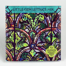Load image into Gallery viewer, Little Gem Lettuce Mix - Indie Indie Bang! Bang!
