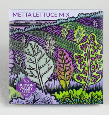 Metta Lettuce Mix - Indie Indie Bang! Bang!