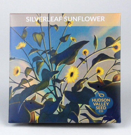 Silverleaf Sunflower - Indie Indie Bang! Bang!