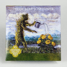 Load image into Gallery viewer, Teddy Bear Sunflower Seeds - Indie Indie Bang! Bang!