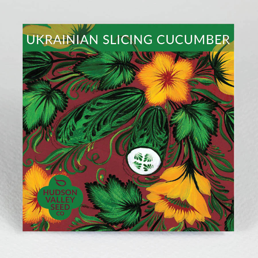 Ukrainian Slicing Cucumber Seeds - Indie Indie Bang! Bang!
