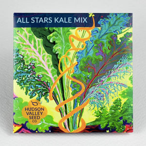All Stars Kale Mix Seeds - Indie Indie Bang! Bang!