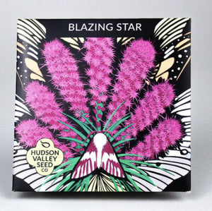 Blazing Star Seeds - Indie Indie Bang! Bang!