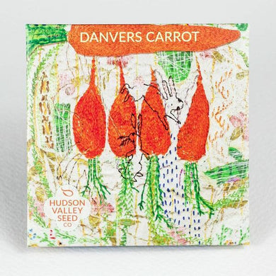 Danvers Carrot - Indie Indie Bang! Bang!