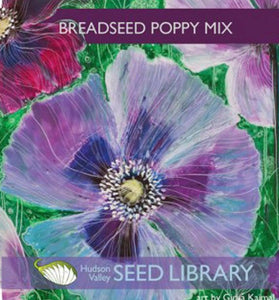 Breadseed Poppy Mix - Indie Indie Bang! Bang!