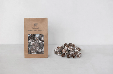 Bag of Dried Pinecones - Indie Indie Bang! Bang!