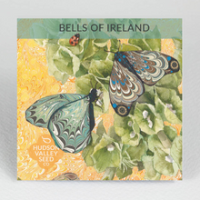 Load image into Gallery viewer, Bells of Ireland Seeds - Indie Indie Bang! Bang!