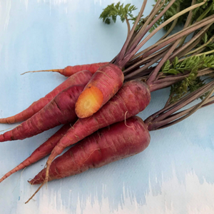 Dragon Carrot Seeds (Certified Organic) - Indie Indie Bang! Bang!
