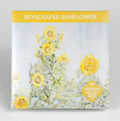 Skyscraper Sunflower Seeds (Certified Organic) - Indie Indie Bang! Bang!