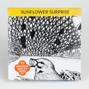 Sunflower Surprise Seeds - Indie Indie Bang! Bang!
